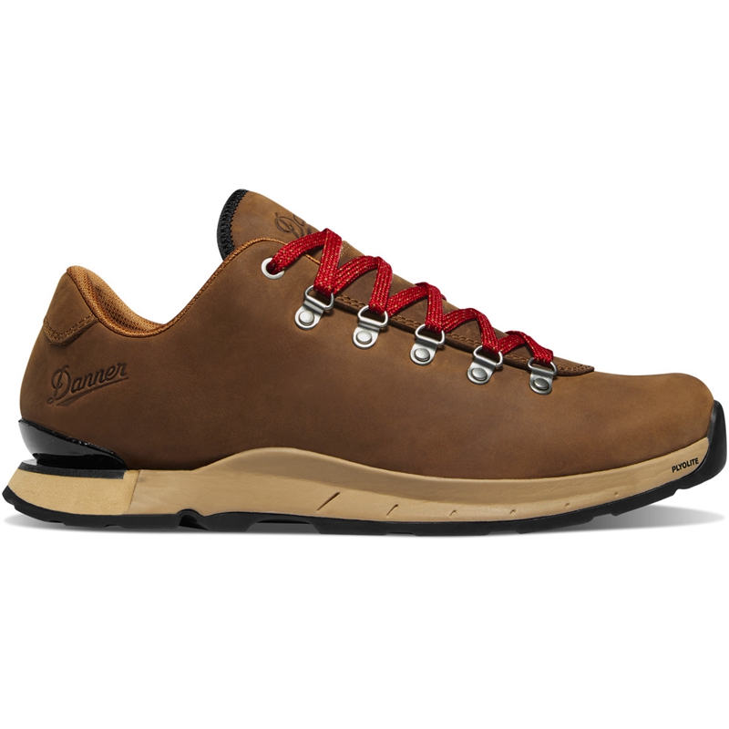 Brown Men's Danner Mountain Overlook Hiking Boots | ZYEXCUL-73