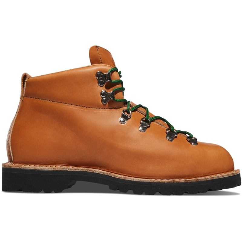 Brown Men's Danner Mountain Trail Hiking Boots | VKOGECW-51