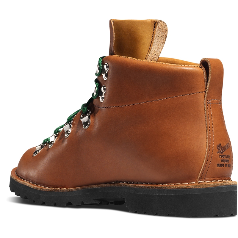 Brown Men's Danner Mountain Trail Hiking Boots | VKOGECW-51